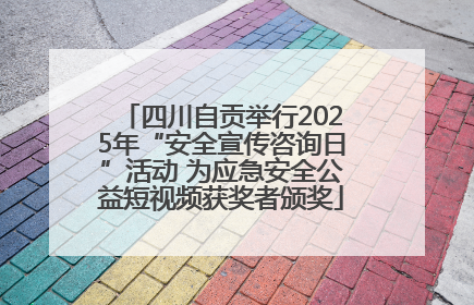 四川自贡举行2025年“安全宣传咨询日”活动 为应急安全公益短视频获奖者颁奖