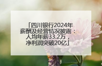 四川银行2024年薪酬及经营情况披露：人均年薪33.2万，净利润突破20亿