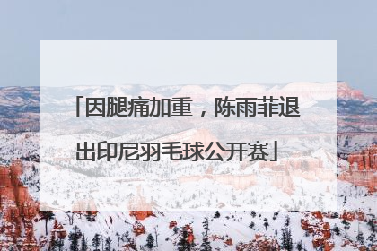 因腿痛加重，陈雨菲退出印尼羽毛球公开赛