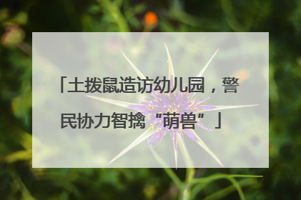 土拨鼠造访幼儿园，警民协力智擒“萌兽”