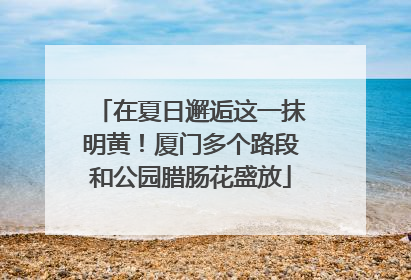 在夏日邂逅这一抹明黄！厦门多个路段和公园腊肠花盛放
