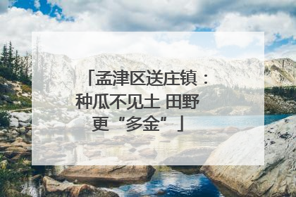 孟津区送庄镇：种瓜不见土 田野更“多金”