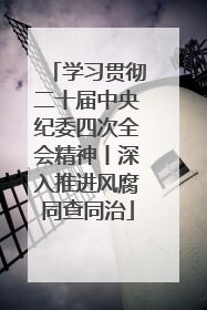 学习贯彻二十届中央纪委四次全会精神丨深入推进风腐同查同治