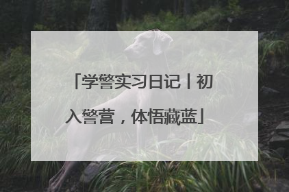 学警实习日记丨初入警营，体悟藏蓝