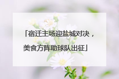 宿迁主场迎盐城对决，美食方阵助球队出征