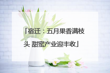 宿迁：五月果香满枝头 甜蜜产业迎丰收