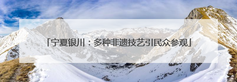宁夏银川：多种非遗技艺引民众参观