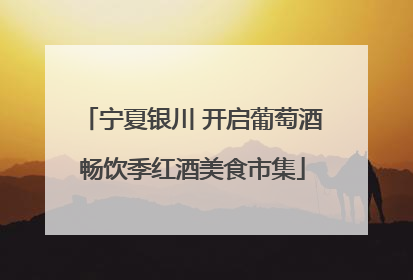 宁夏银川 开启葡萄酒畅饮季红酒美食市集