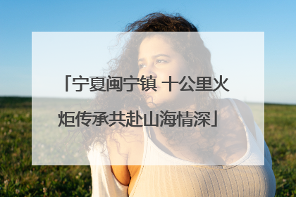 宁夏闽宁镇 十公里火炬传承共赴山海情深