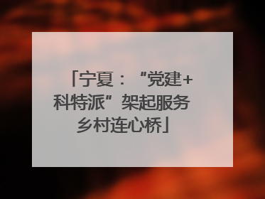 宁夏：“党建+科特派”架起服务乡村连心桥