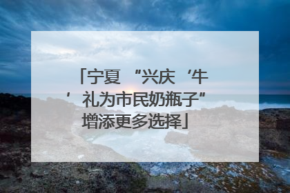 宁夏 “兴庆‘牛’礼为市民奶瓶子”增添更多选择