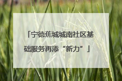 宁德蕉城城南社区基础服务再添“新力”