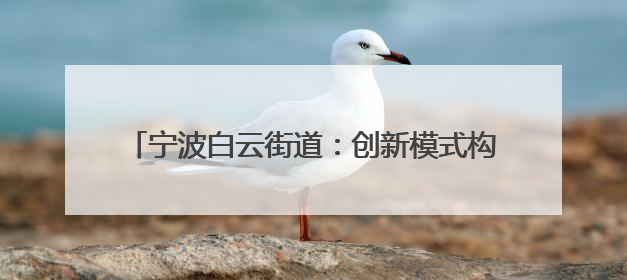 宁波白云街道：创新模式构筑“两新”群体关爱生态圈