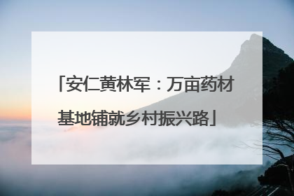 安仁黄林军：万亩药材基地铺就乡村振兴路