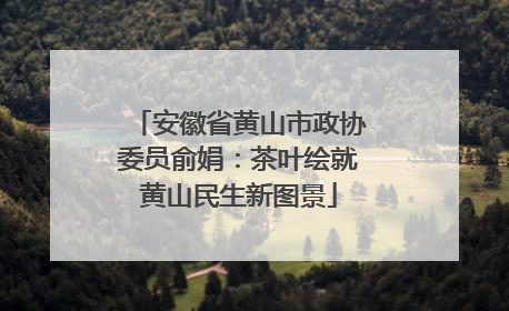 安徽省黄山市政协委员俞娟：茶叶绘就黄山民生新图景