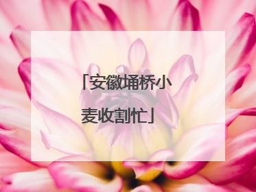 安徽埇桥小麦收割忙