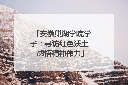 安徽巢湖学院学子：寻访红色沃土 感悟精神伟力