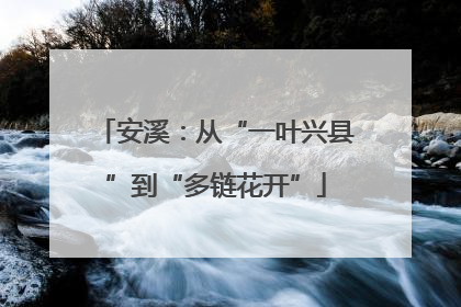 安溪：从“一叶兴县”到“多链花开”