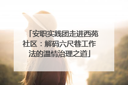 安职实践团走进西苑社区：解码六尺巷工作法的温情治理之道