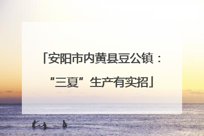 安阳市内黄县豆公镇：“三夏”生产有实招
