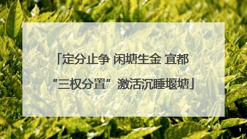 定分止争 闲塘生金 宜都“三权分置”激活沉睡堰塘