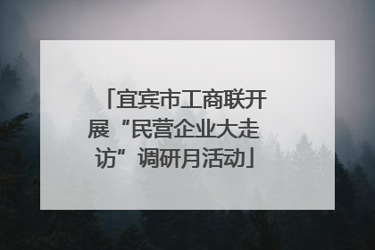 宜宾市工商联开展“民营企业大走访”调研月活动