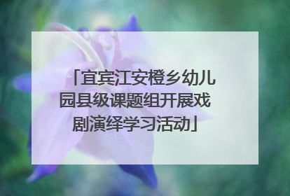 宜宾江安橙乡幼儿园县级课题组开展戏剧演绎学习活动