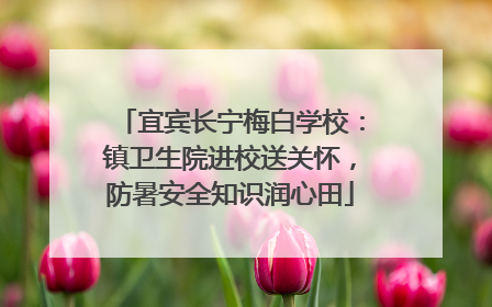 宜宾长宁梅白学校：镇卫生院进校送关怀，防暑安全知识润心田
