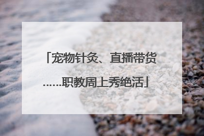 宠物针灸、直播带货……职教周上秀绝活