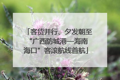 客货并行、夕发朝至 “广西防城港—海南海口”客滚航线首航