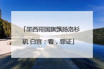 墨西哥国旗飘扬洛杉矶 白宫：看，罪证