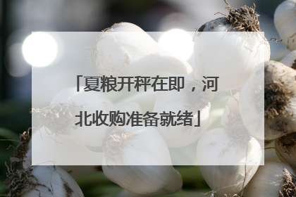 夏粮开秤在即，河北收购准备就绪