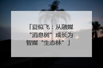 夏似飞：从融媒“消息树”成长为智媒“生态林”