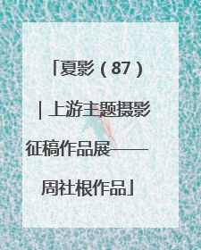 夏影（87）｜上游主题摄影征稿作品展——周社根作品