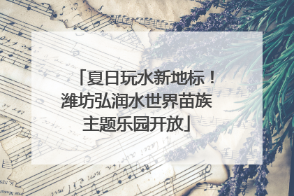 夏日玩水新地标！潍坊弘润水世界苗族主题乐园开放
