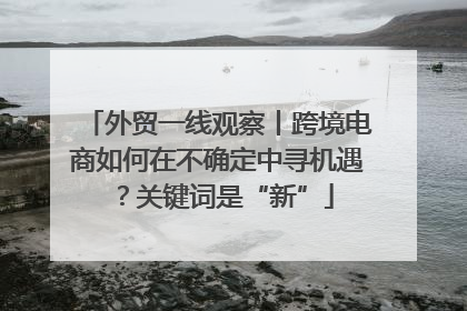 外贸一线观察丨跨境电商如何在不确定中寻机遇？关键词是“新”
