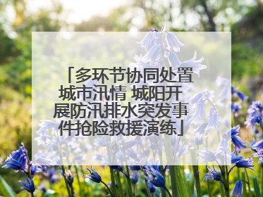 多环节协同处置城市汛情 城阳开展防汛排水突发事件抢险救援演练