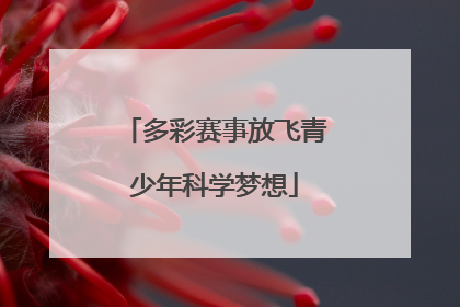 多彩赛事放飞青少年科学梦想