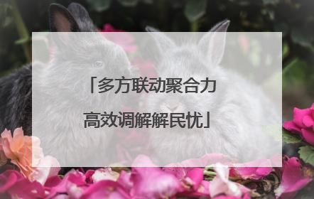 多方联动聚合力 高效调解解民忧