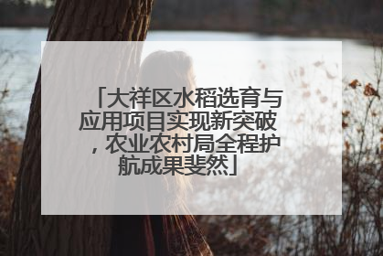 大祥区水稻选育与应用项目实现新突破，农业农村局全程护航成果斐然
