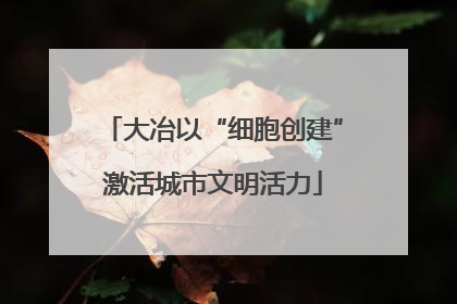 大冶以“细胞创建”激活城市文明活力