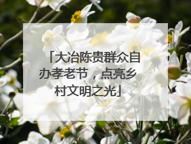 大冶陈贵群众自办孝老节，点亮乡村文明之光