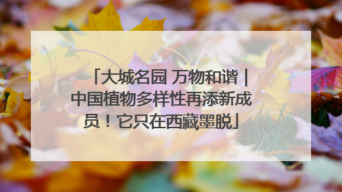 大城名园 万物和谐｜中国植物多样性再添新成员！它只在西藏墨脱