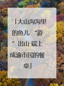大山沟沟里的鱼儿 “游”出山 端上成渝市民的餐桌