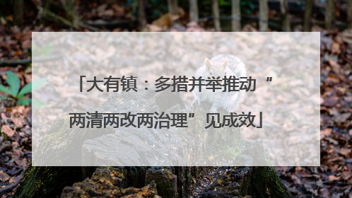大有镇：多措并举推动“两清两改两治理”见成效