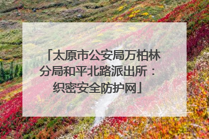 太原市公安局万柏林分局和平北路派出所：织密安全防护网