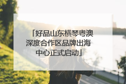 好品山东横琴粤澳深度合作区品牌出海中心正式启动
