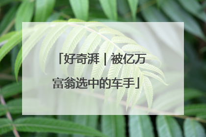 好奇湃｜被亿万富翁选中的车手