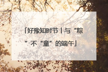 好豫知时节丨与“粽”不“童”的端午