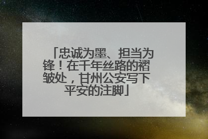 忠诚为墨、担当为锋！在千年丝路的褶皱处，甘州公安写下平安的注脚
